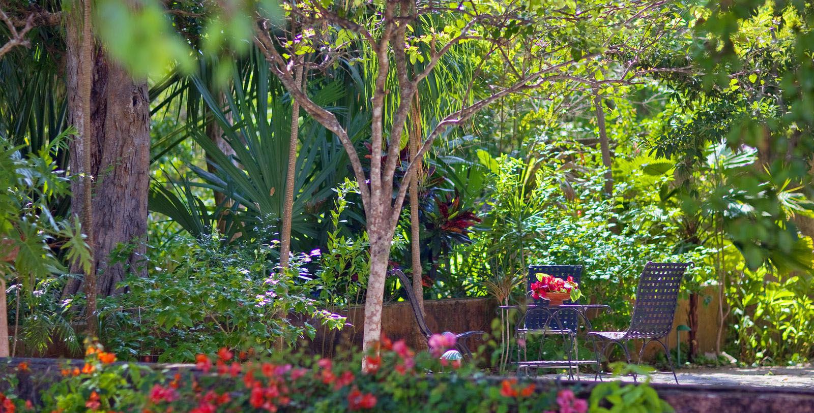 Image of the garden at the Hacienda Santa Rosa, a Luxury Collection Hotel in Yucatan, Mexico