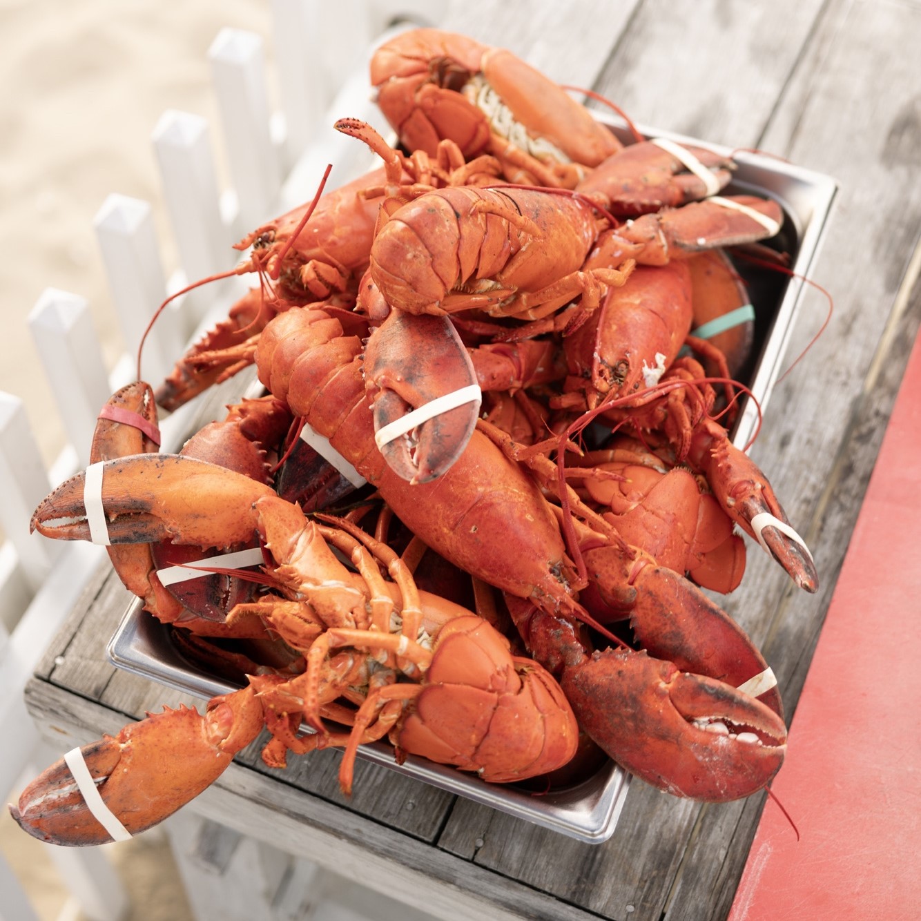 Lobsters at Chatham Bars Inn