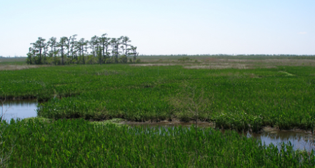 Jean Lafitte National Historical Park And Preserve
